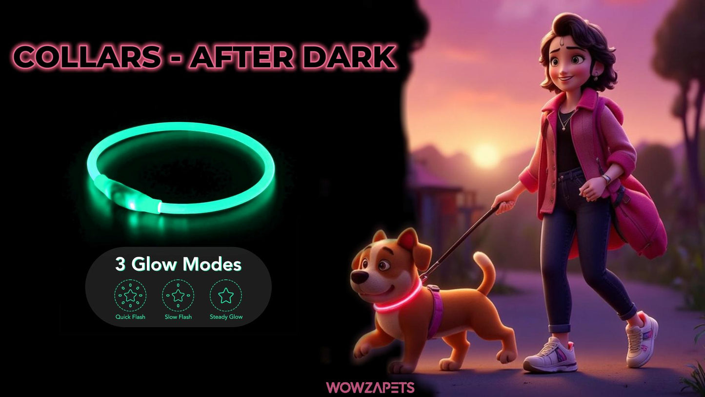 LED Dog Collar Light up Dog Collars 1 Count USB Rechargeable TPU Glow Safety Basic Dog Collars for Large Medium Small Dogs (Cyan)
