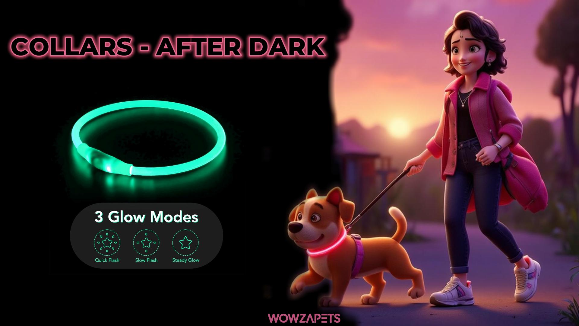 LED Dog Collar Light up Dog Collars 1 Count USB Rechargeable TPU Glow Safety Basic Dog Collars for Large Medium Small Dogs (Cyan)