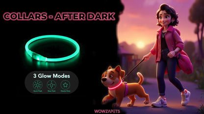 LED Dog Collar Light up Dog Collars 1 Count USB Rechargeable TPU Glow Safety Basic Dog Collars for Large Medium Small Dogs (Cyan)